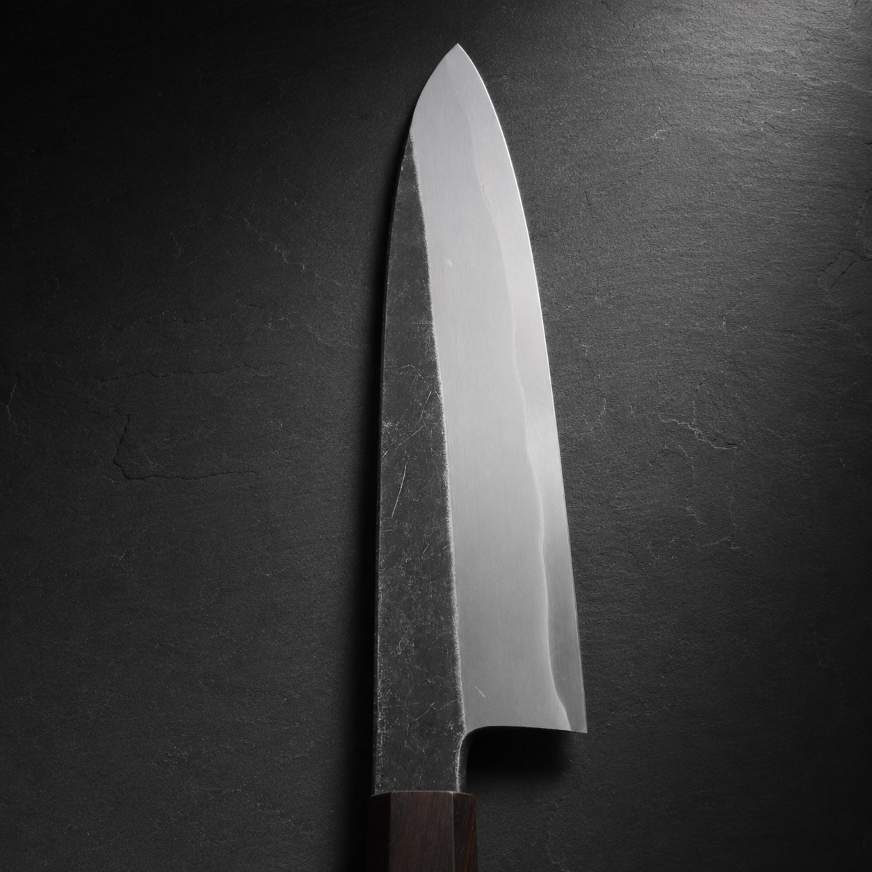 Shirasagi Blue #2 Single Bevel Gyuto 210mm Kurouchi Ebony Wa Tosa Japan