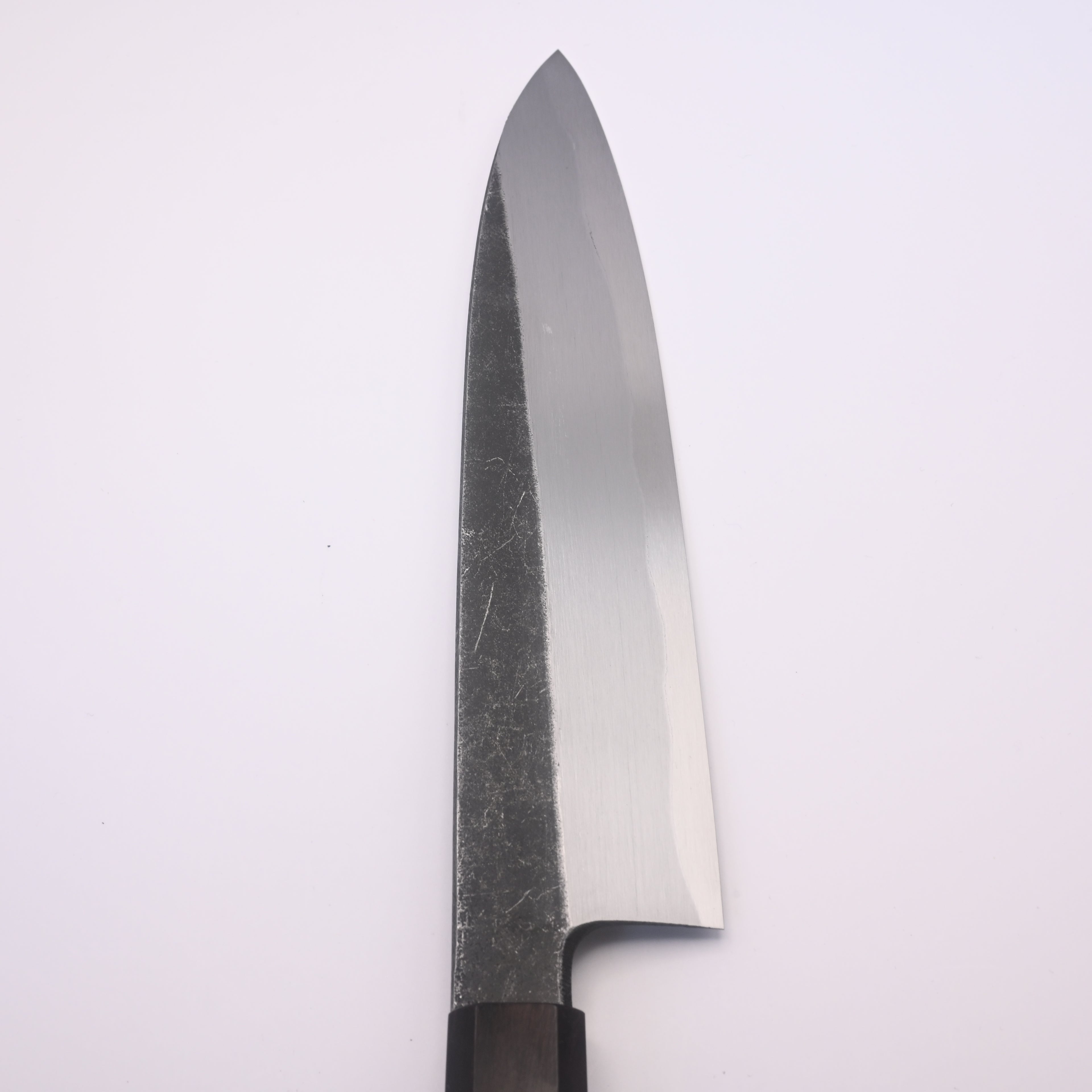 Shirasagi Blue #2 Single Bevel Gyuto 210mm Kurouchi Ebony Wa Tosa Japan