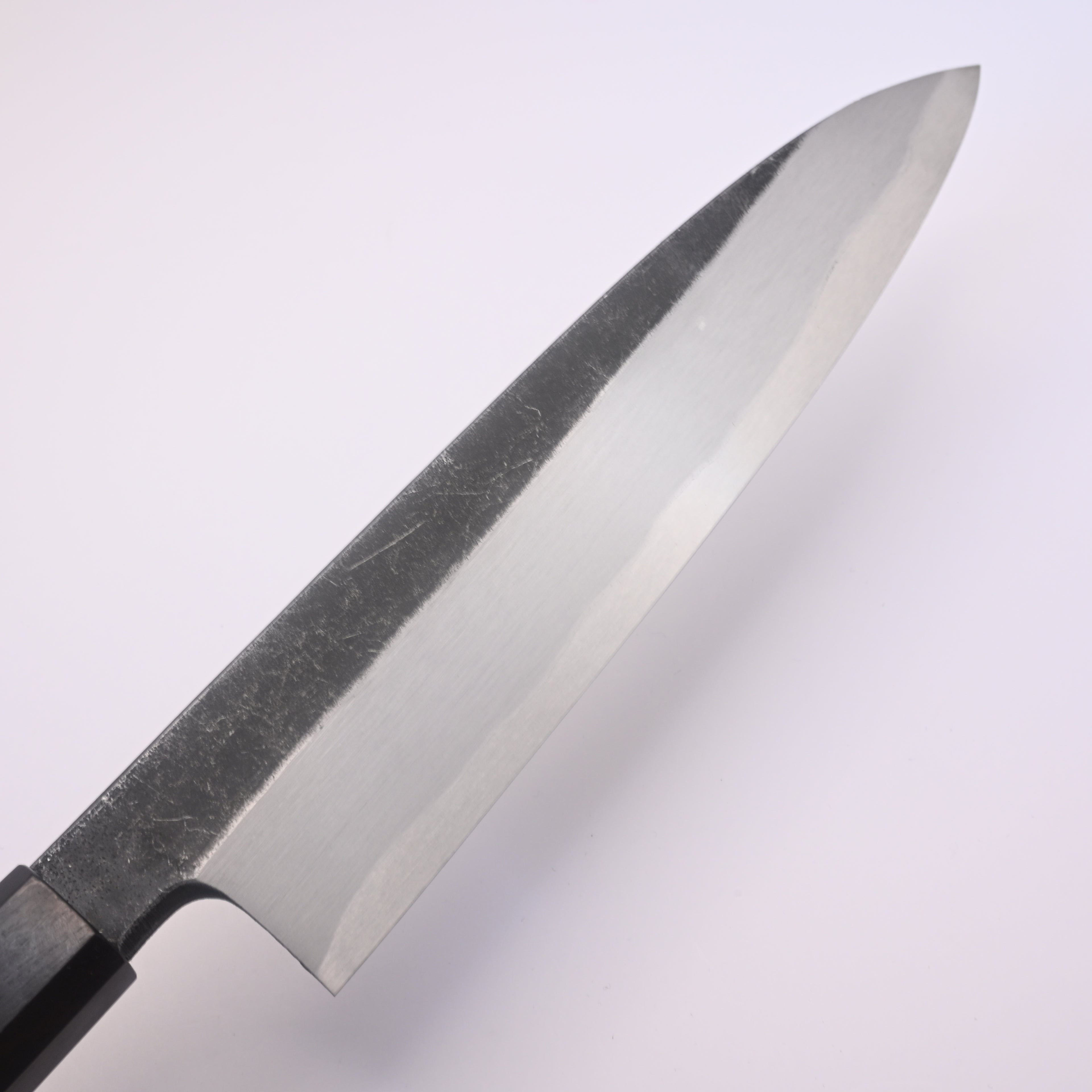 Shirasagi Blue #2 Single Bevel Gyuto 210mm Kurouchi Ebony Wa Tosa Japan