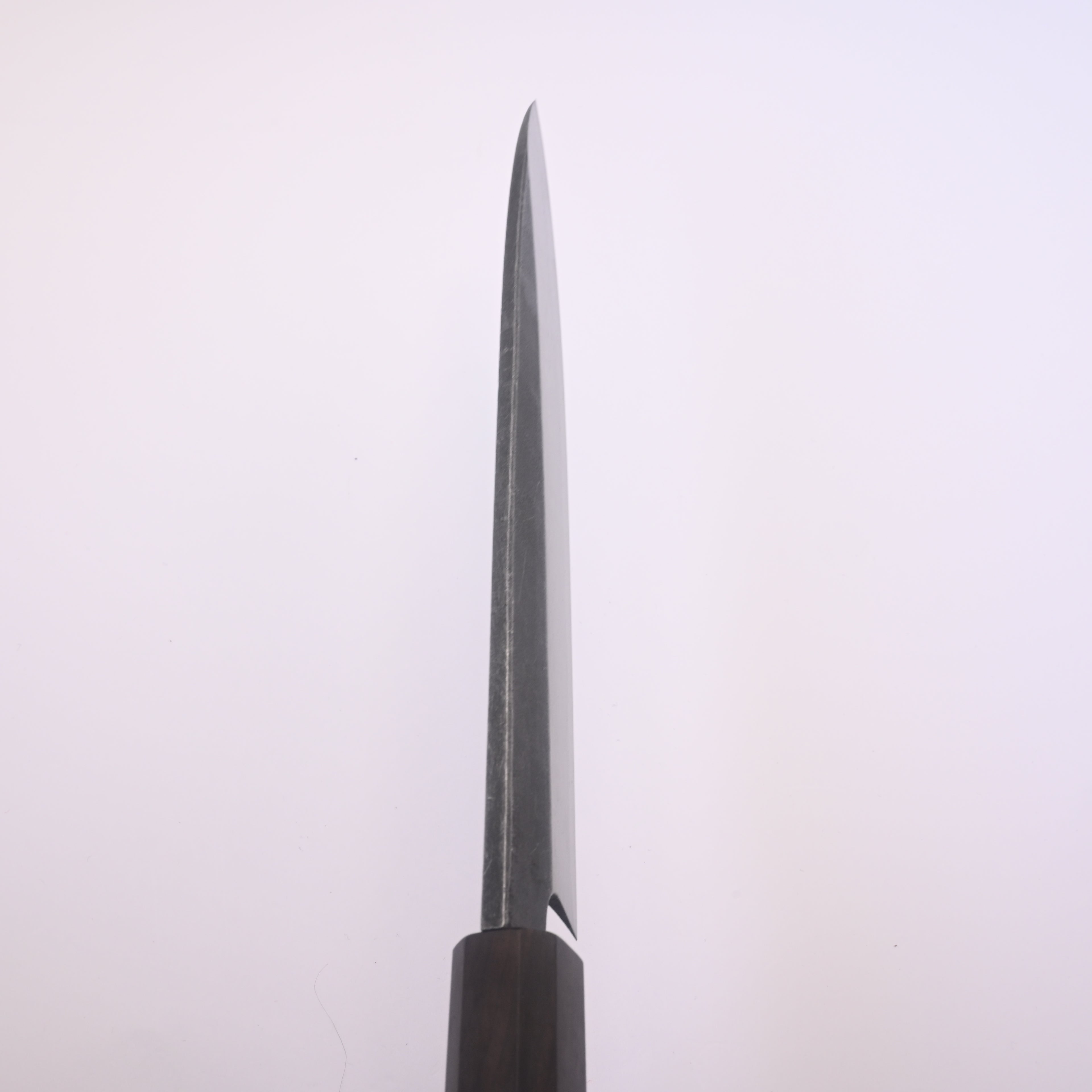 Shirasagi Blue #2 Single Bevel Gyuto 210mm Kurouchi Ebony Wa Tosa Japan