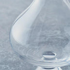 Tajima Glass: The Ultimate Craft Beer Glass (Geek Glass)